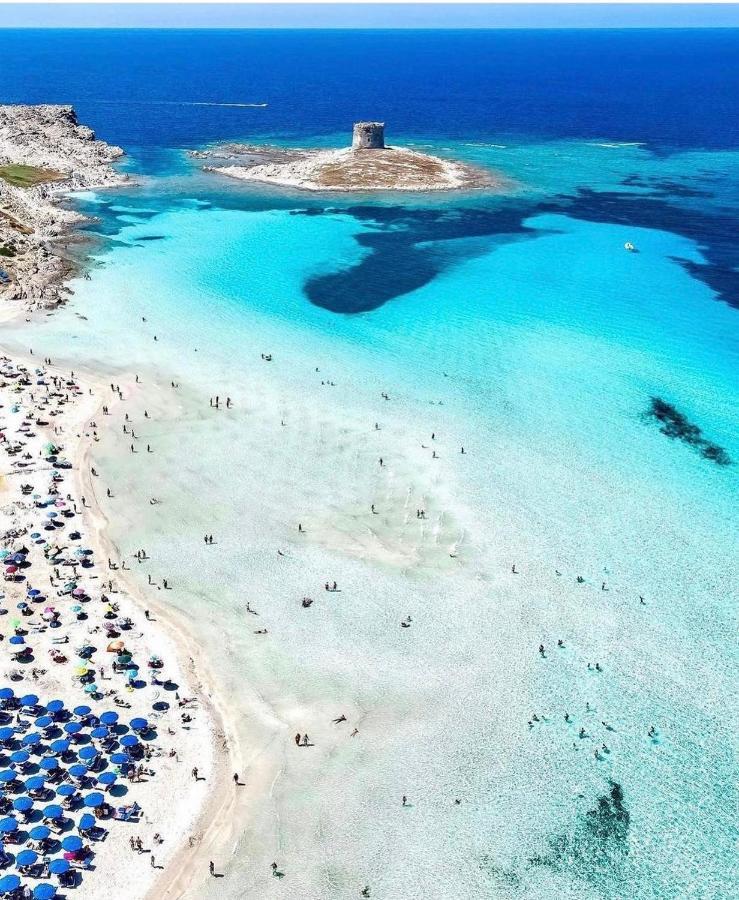La Dolce Vita , Fronte Mare Castelsardo Zewnętrze zdjęcie