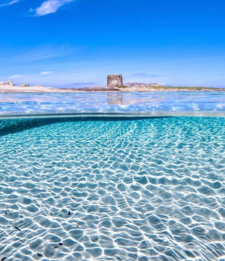La Dolce Vita , Fronte Mare Castelsardo Zewnętrze zdjęcie